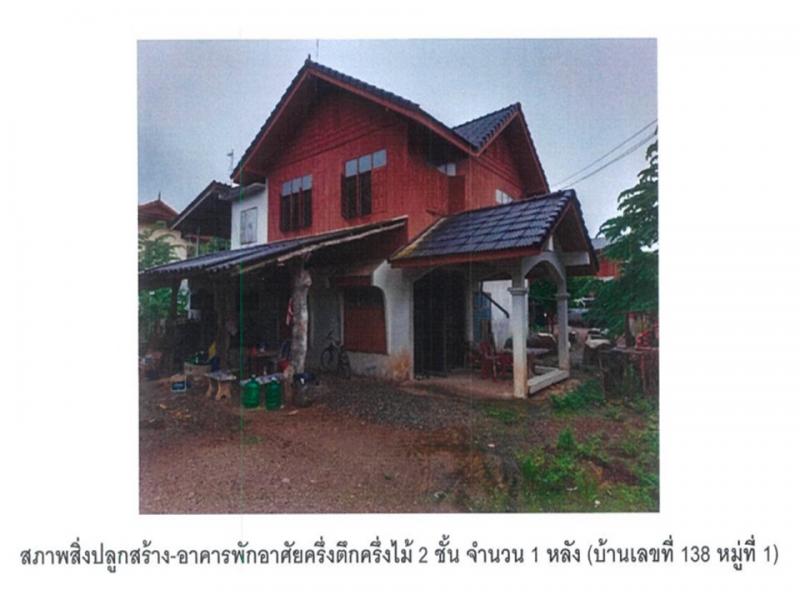 ดอนศรีชุม ดอกคำใต้ พะเยา