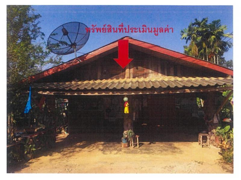 นาปรัง ปง พะเยา