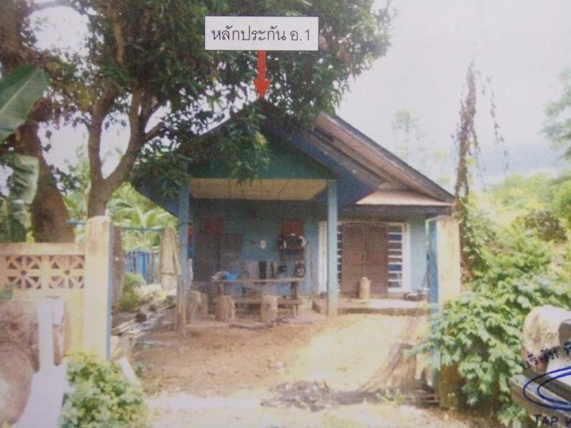 แม่กา เมืองพะเยา พะเยา