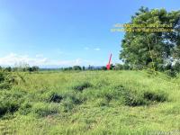 ขายที่ดินว่างเปล่า