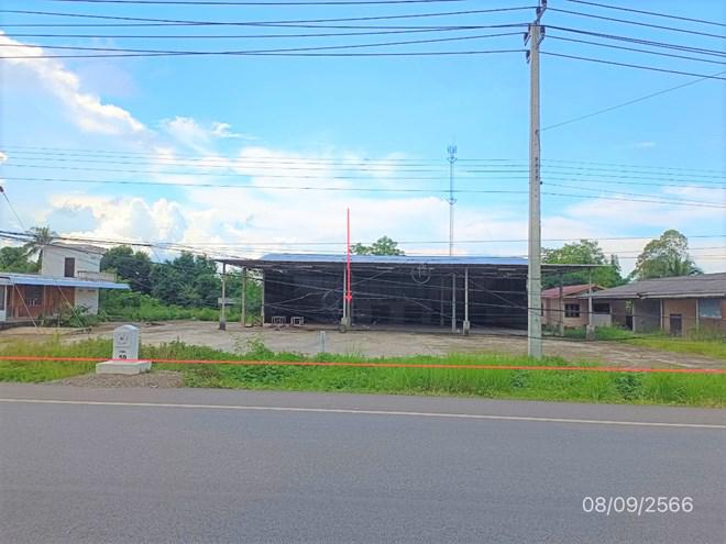 ทุ่งรวงทอง จุน พะเยา